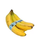 cheba-shop-banane