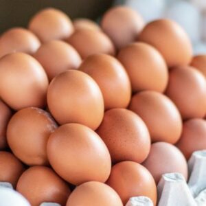 cheba-shop-boite-d-oeufs