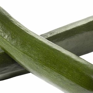 cheba-shop-courgette